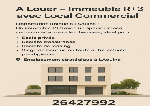 À Louer Immeuble R+3 avec Local Commercial Aouina - Bien immobilier à {"id":23,"country_id":219,"name":"TUNIS","slug":"tunis"} - Agence Immobilière immo\'in